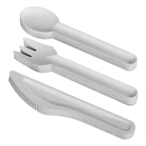 Bagasse set posate cucchiai - bagasse,